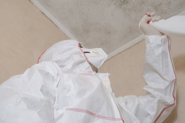 Best Post-Flood Mold Remediation in Alderwood Manor, WA